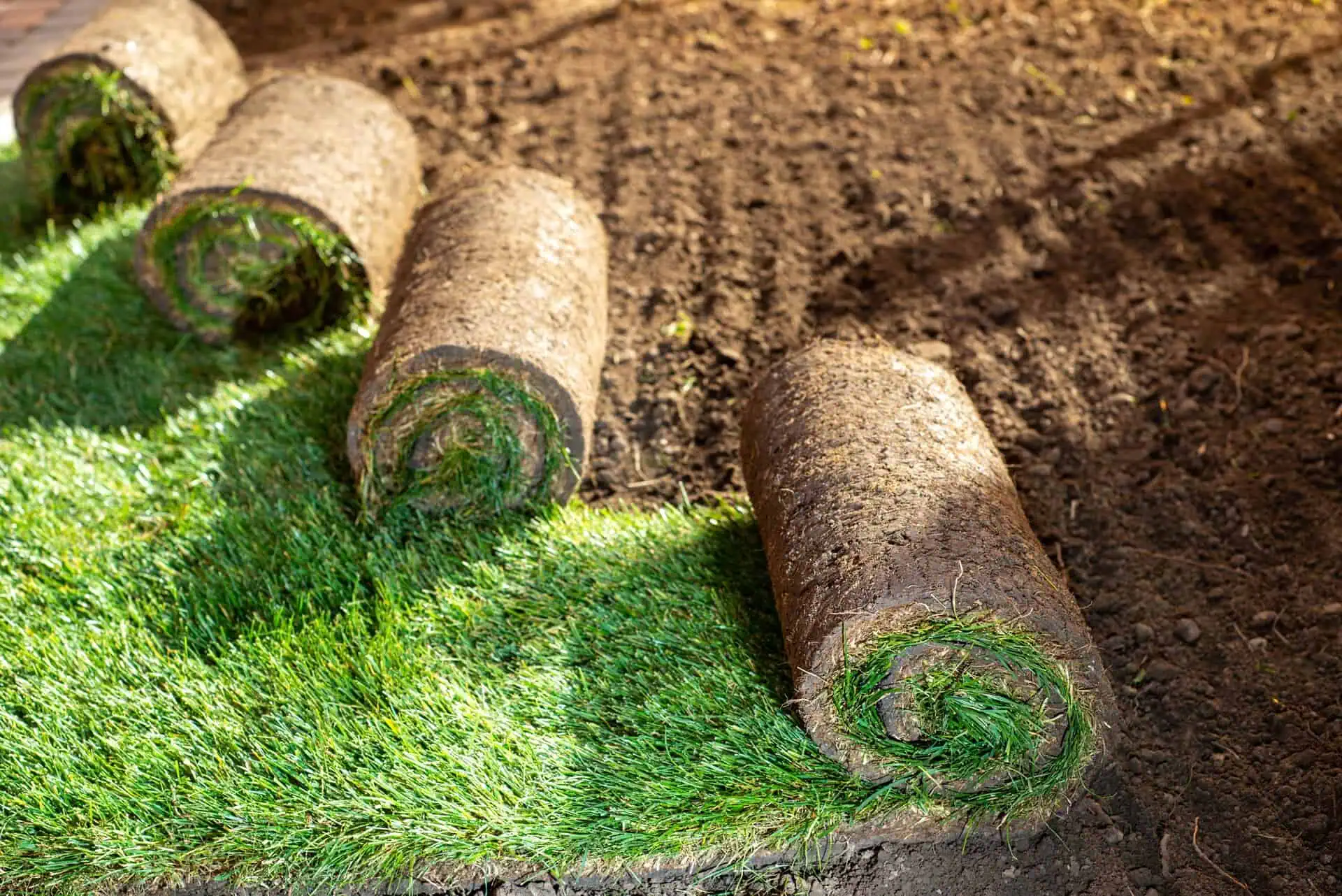 Landscaping Insurance Texas